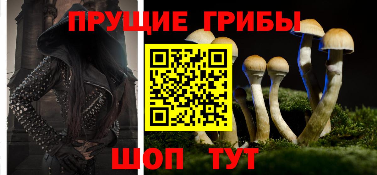 Галлюциногенные грибы ЛСД  Вход с VPN  Курчатов 